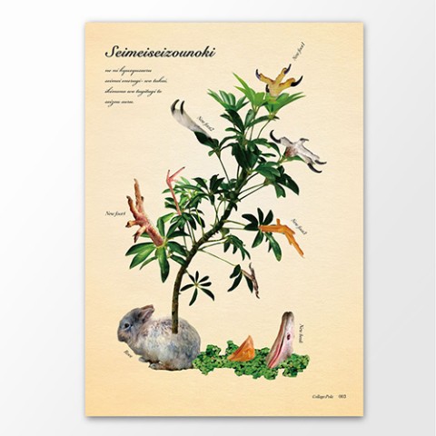 【スギウラユウミ】不思議な動植物ポスター「セイメイセイゾウノキ」A4