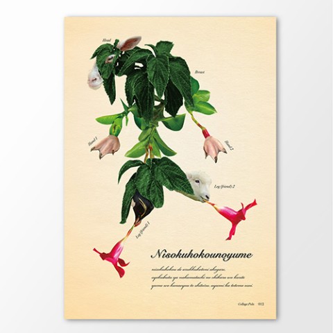 【スギウラユウミ】不思議な動植物ポスター「ニソクホコウノユメ」A4
