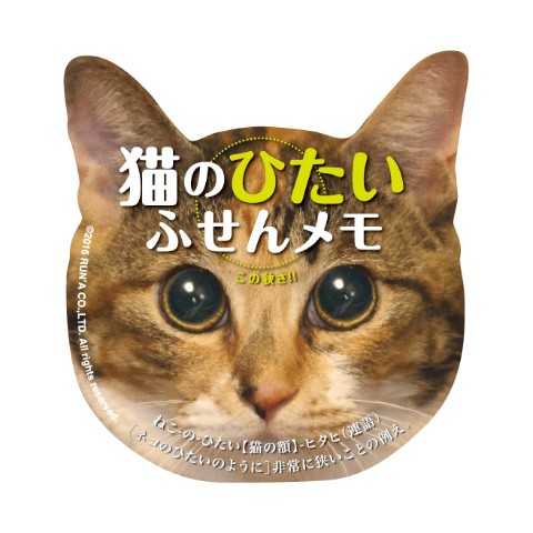 猫のひたい　ふせんメモ　ジュマ 【WEB先行発売】