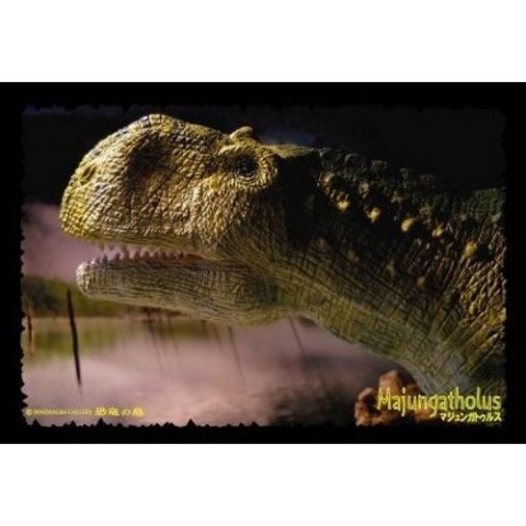 【恐竜の島】恐竜ポストカード　マジュンガトゥルス