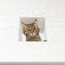 壁からネコ／妄想マッピングステッカー