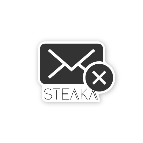 【STEAKA】ロゴステッカー ダイカット