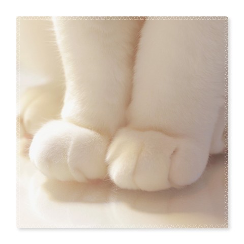 【無重力猫ミルコのお家】ハンドタオル