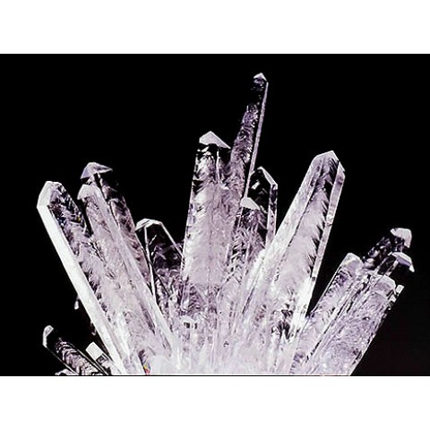 透明結晶[Clear Crystal]育成キット