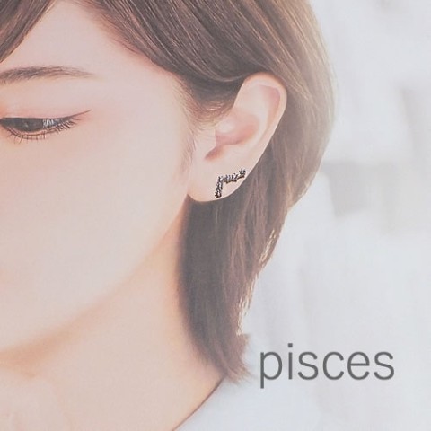 【＃kawaiiiii!】『Pisces 魚座』12星座のピアス