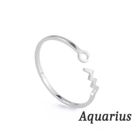 【＃kawaiiiii!】『Aquarius  水瓶座』星座のリング （錆びにくいステンレススチール製）