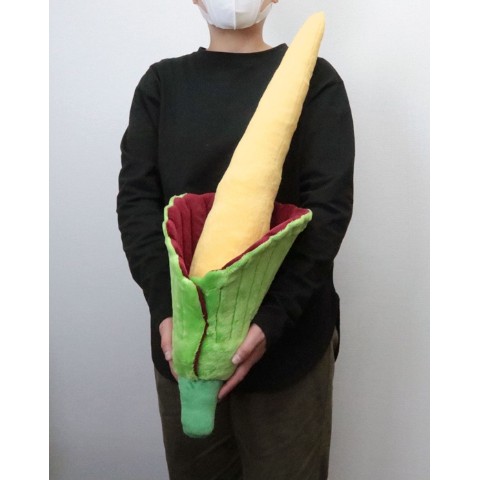 【植物コレクション】ショクダイオオコンニャク 抱き枕