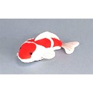 【和の心】錦鯉マグネット　紅白