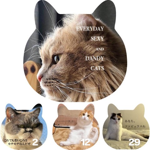 【anicas】日めくりカレンダー EVERYDAY SEXY & DANDY CATS