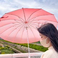 【estaa】透け感が可愛い新デザイン傘