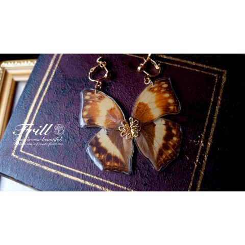 【Frill】蝶のイヤリング