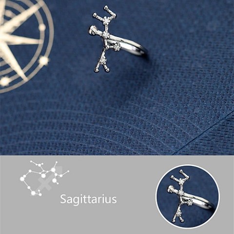 【＃kawaiiiii!】『Sagittarius  射手座』12星座のイヤーカフ